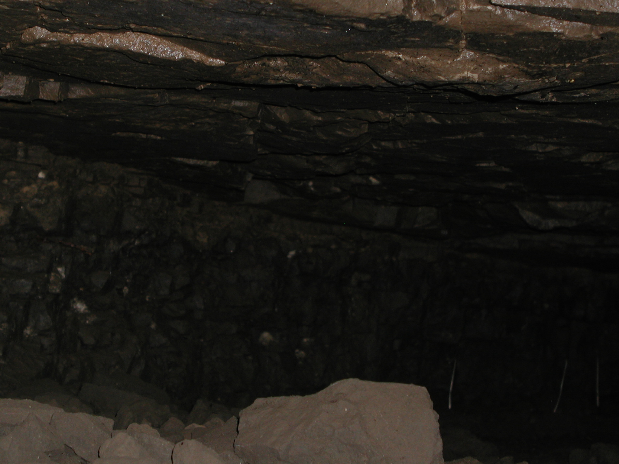 Tunnel under East Ave (12)